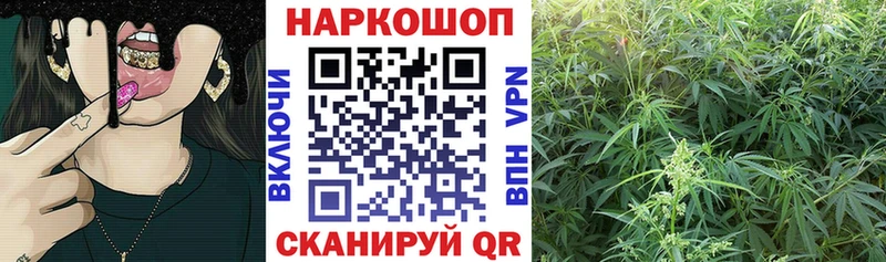 Купить наркотик Нахабино APVP Мефедрон ГАШ ТГК КОКАИН